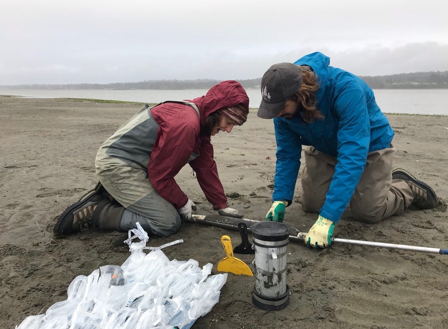 Buried or Fried? Understanding sedimentation and temperature effects on native species in the South Slough National Estuarine Research Reserve and the Coos estuary. 