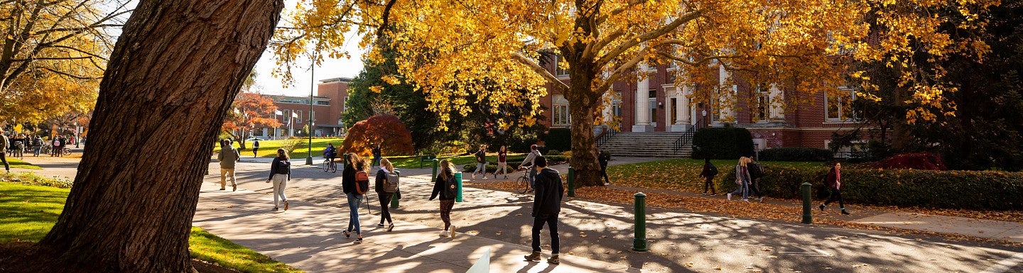Fall on campus