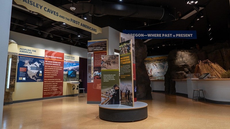 Natural history museum cave exhibit