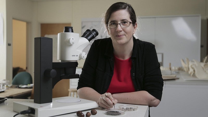 Daphne Gallagher with a microscope