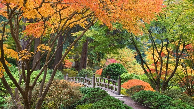 Wooden bridge in Portland Japanese garden