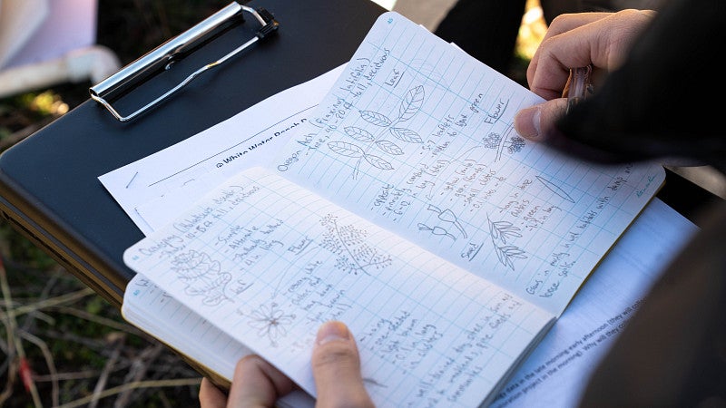 book open to a page of plant drawings