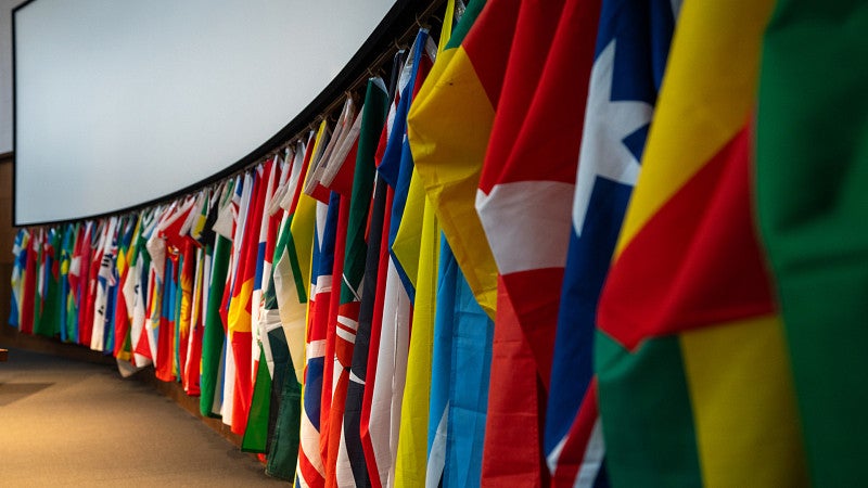 lineup of international flags in a lecture hall in straub hall