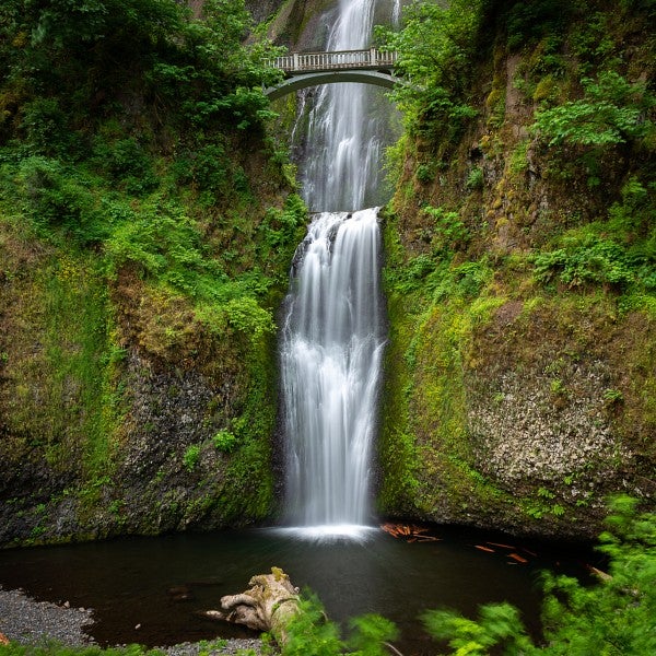 multnomah falls