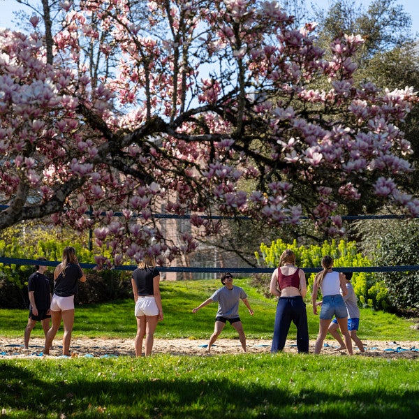 students playing volleyball during sunny spring day next to blossoming tree