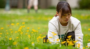 university day