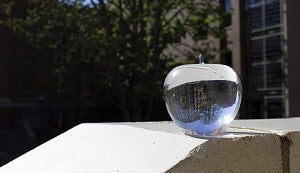 Crystal Apple