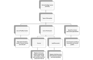 Flowchart diagramming school and college responses to academic disruptions. Explanation in previous text.