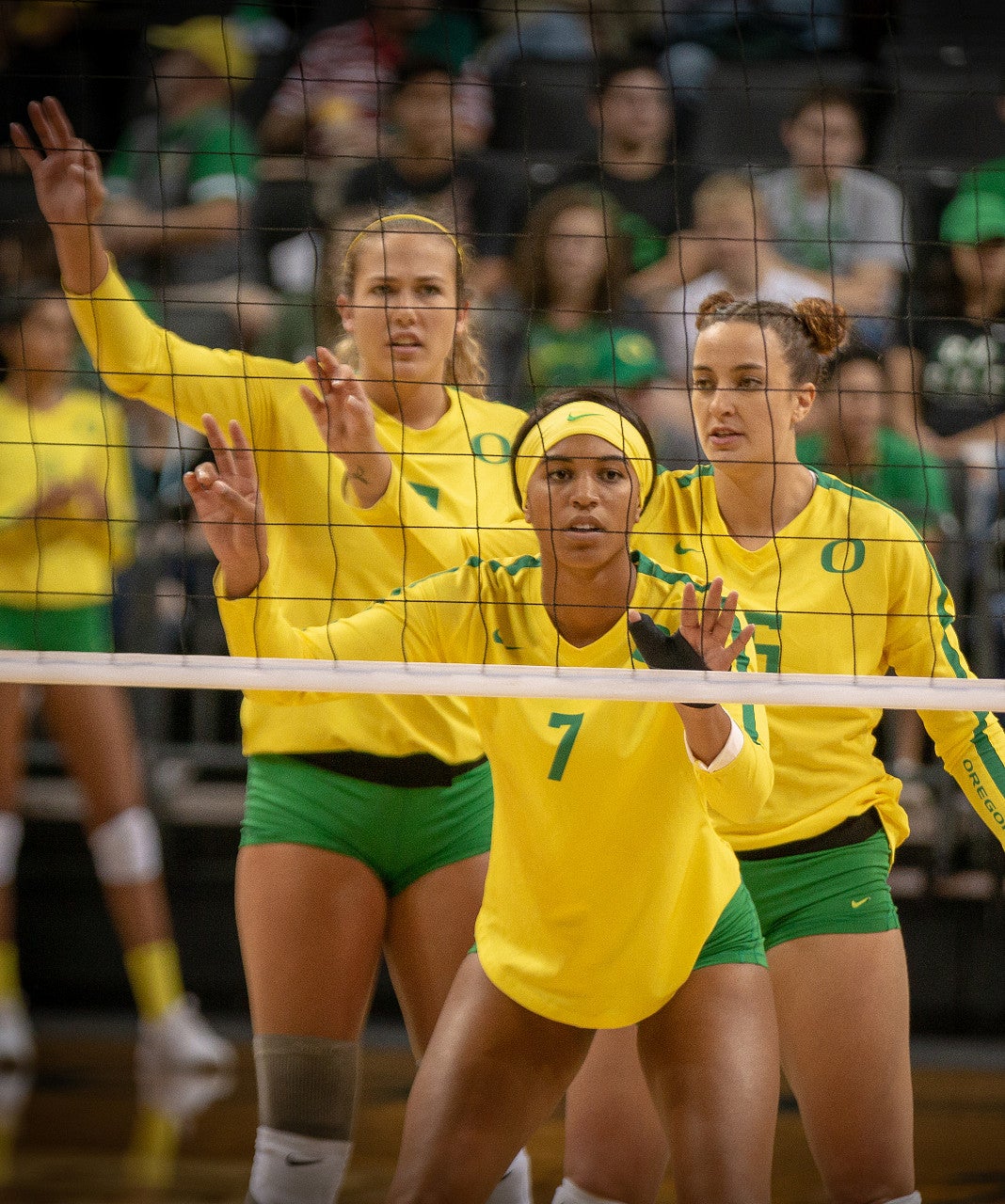 volleyball