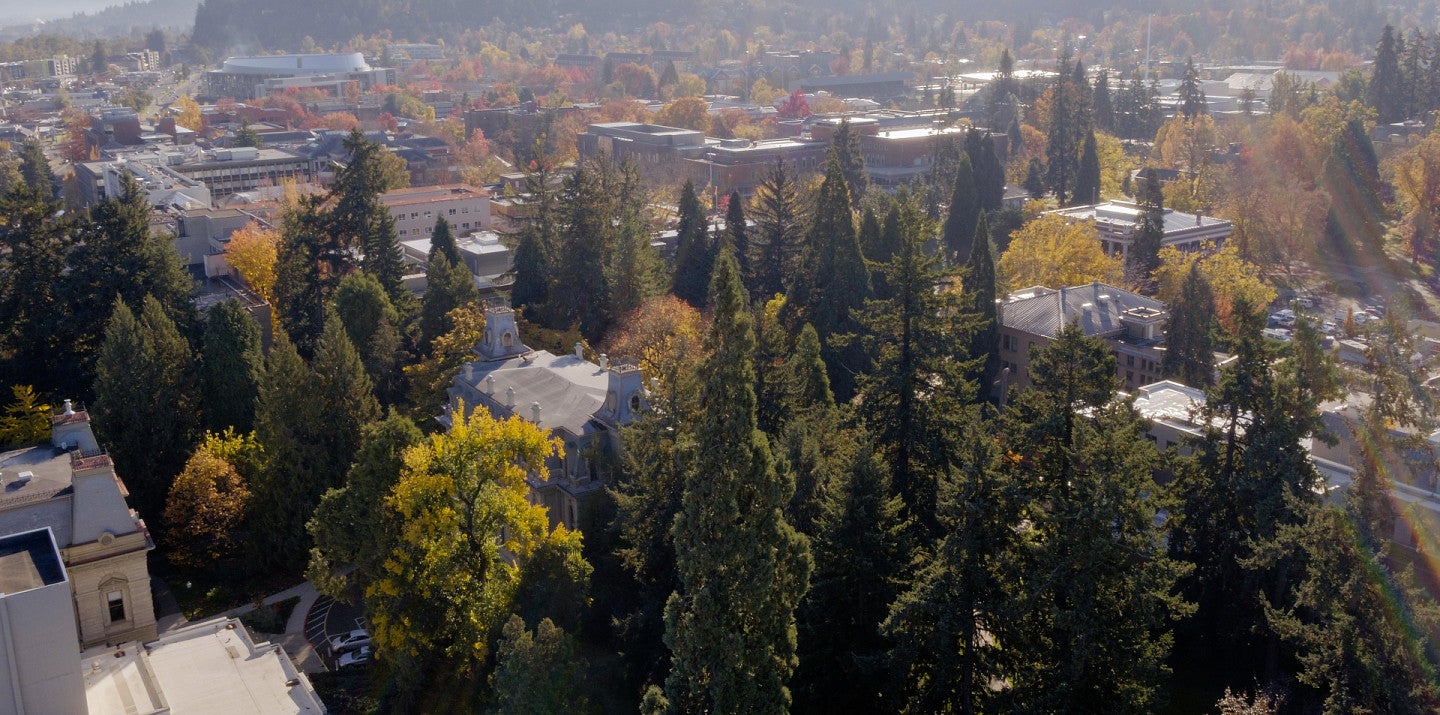 fall aerial of campus